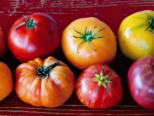Tomaten passen perfekt in jedes Gericht und eignen sich besonders gut für Caprese-Salate oder kalte Gazpacho