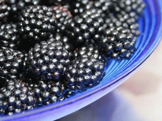 Blackberry verleiht Frühstück und Desserts einen süßen Geschmack und eine luxuriöse Konsistenz
