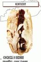 Hot Dog mit Bratwurst in Speck, Pute, Morgensauce