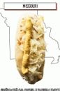 Hot Dog mit geschmolzenem Schweizer Käse, Senf und Sauerkraut
