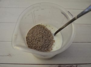 Chia Erdbeerpudding