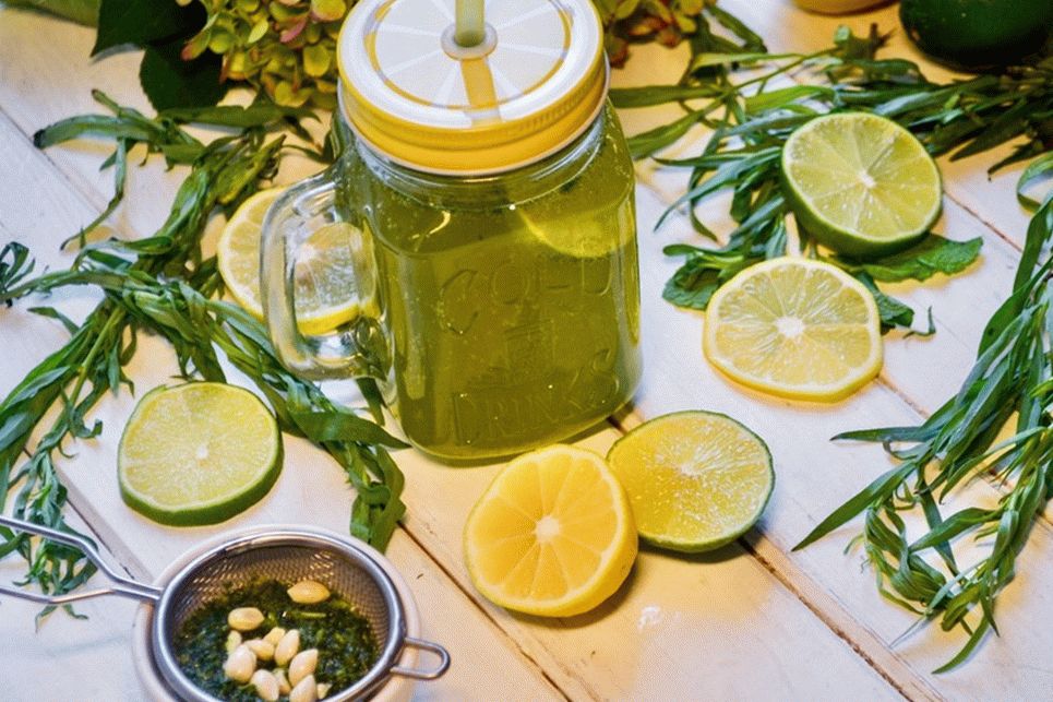Selbst gemachter Limonaden-Estragon