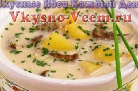 Pilzsuppe für den Winter