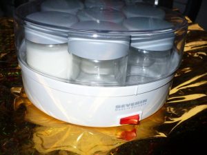 Joghurt in einem Joghurthersteller