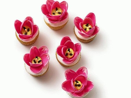 Photo Cupcakes