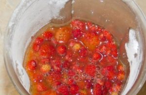 Cocktail-Beeren-Mix