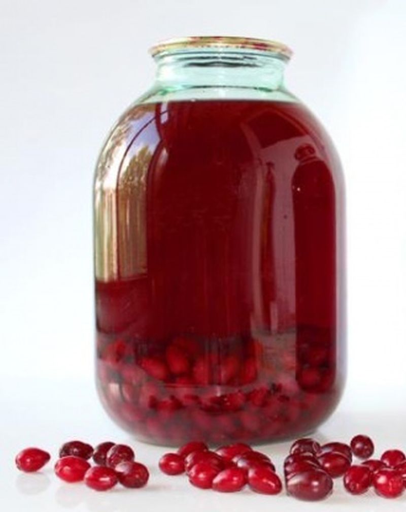 Hartriegeleintopf für den Winter