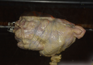 Ofen gegrilltes Hähnchen