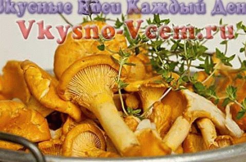 Pfifferlinge auf besondere Weise mariniert