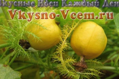 Passionsfrucht - Sex Funken fliegen lassen!