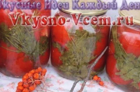 Eingelegte Tomaten mit Petersilie