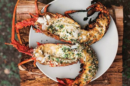 Gegrilltes Hummerfoto mit aromatischem Macadamianussöl
