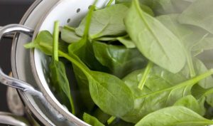 Spinat Leber