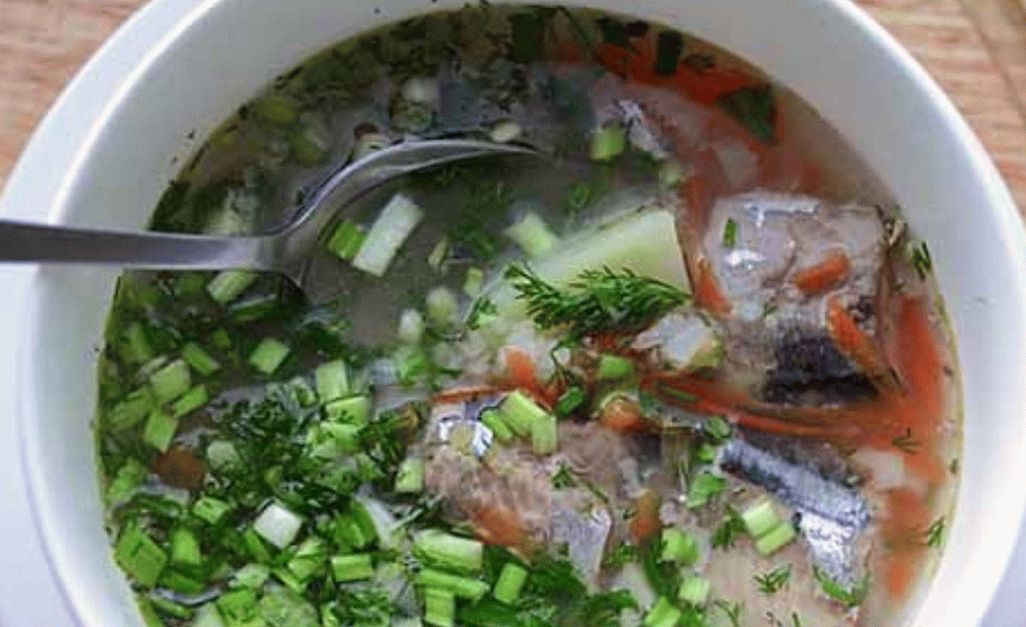 Fischsuppe Bachelor