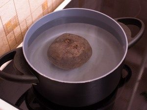 Zottiger Salat