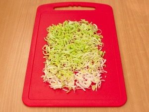 Überlagerter Salat