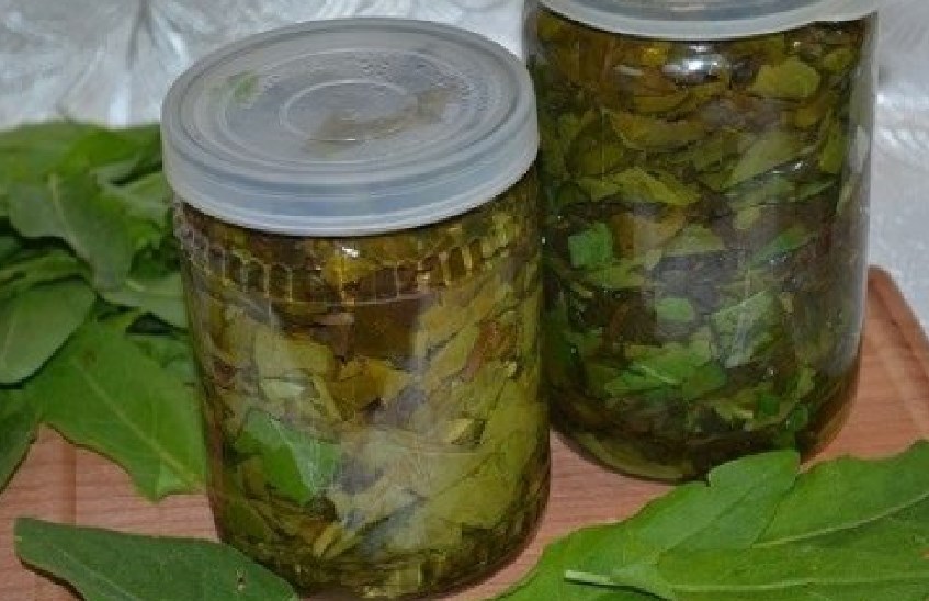 Sauerampfer für den Winter in der Bank