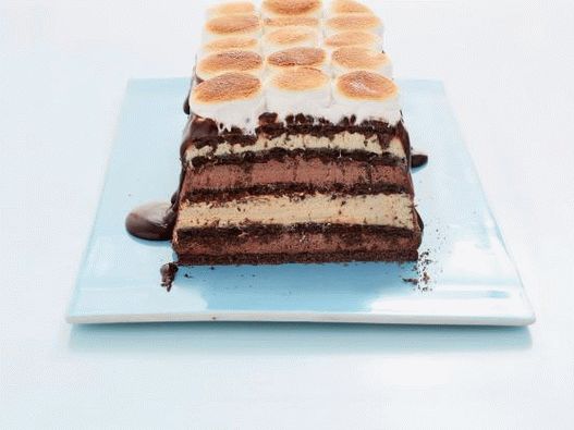 Photo Cake Smor ohne Mehl mit Marshmallows