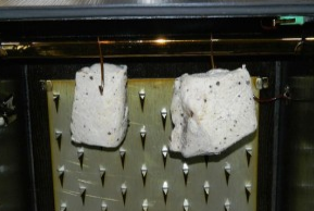 Geräuchertes Fleisch