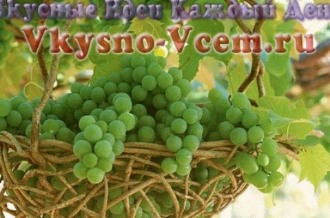 Weinblätter für den Winter