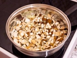 Pilz Julienne